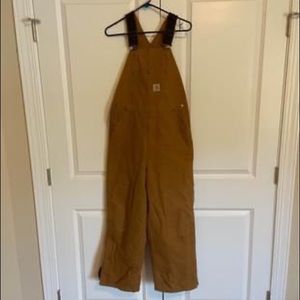 Carhartt insulated overalls